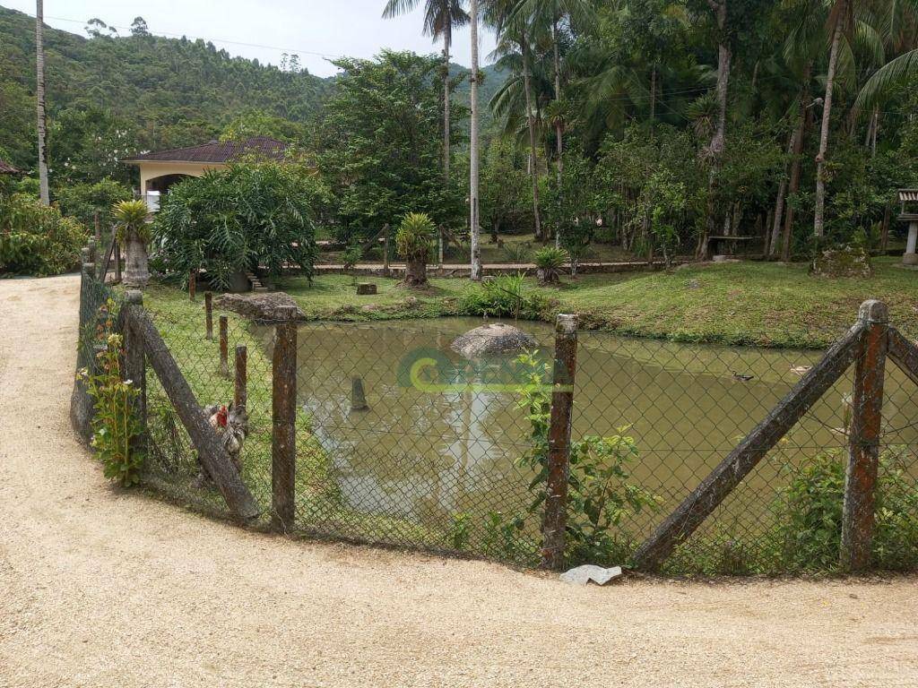 Sítio à venda com 2 quartos, 1800M2 - Foto 10