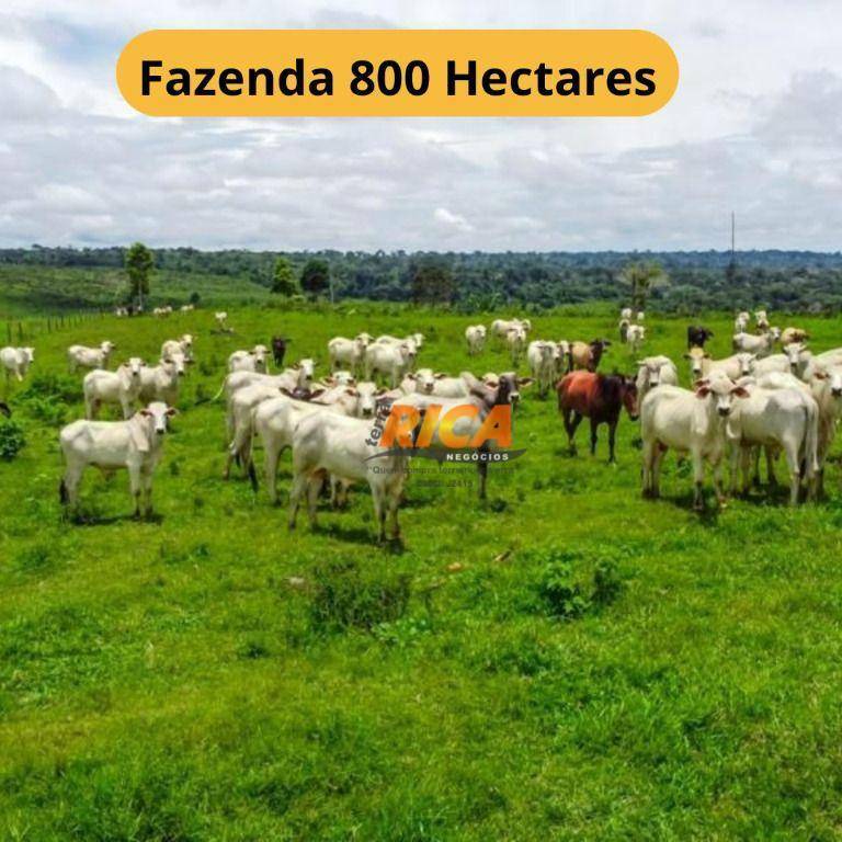 Fazenda-Sítio-Chácara, 800 hectares - Foto 1