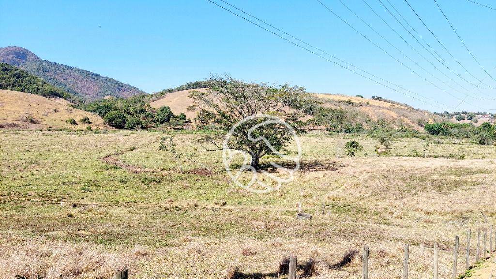 Loteamento e Condomínio, 29 hectares - Foto 4