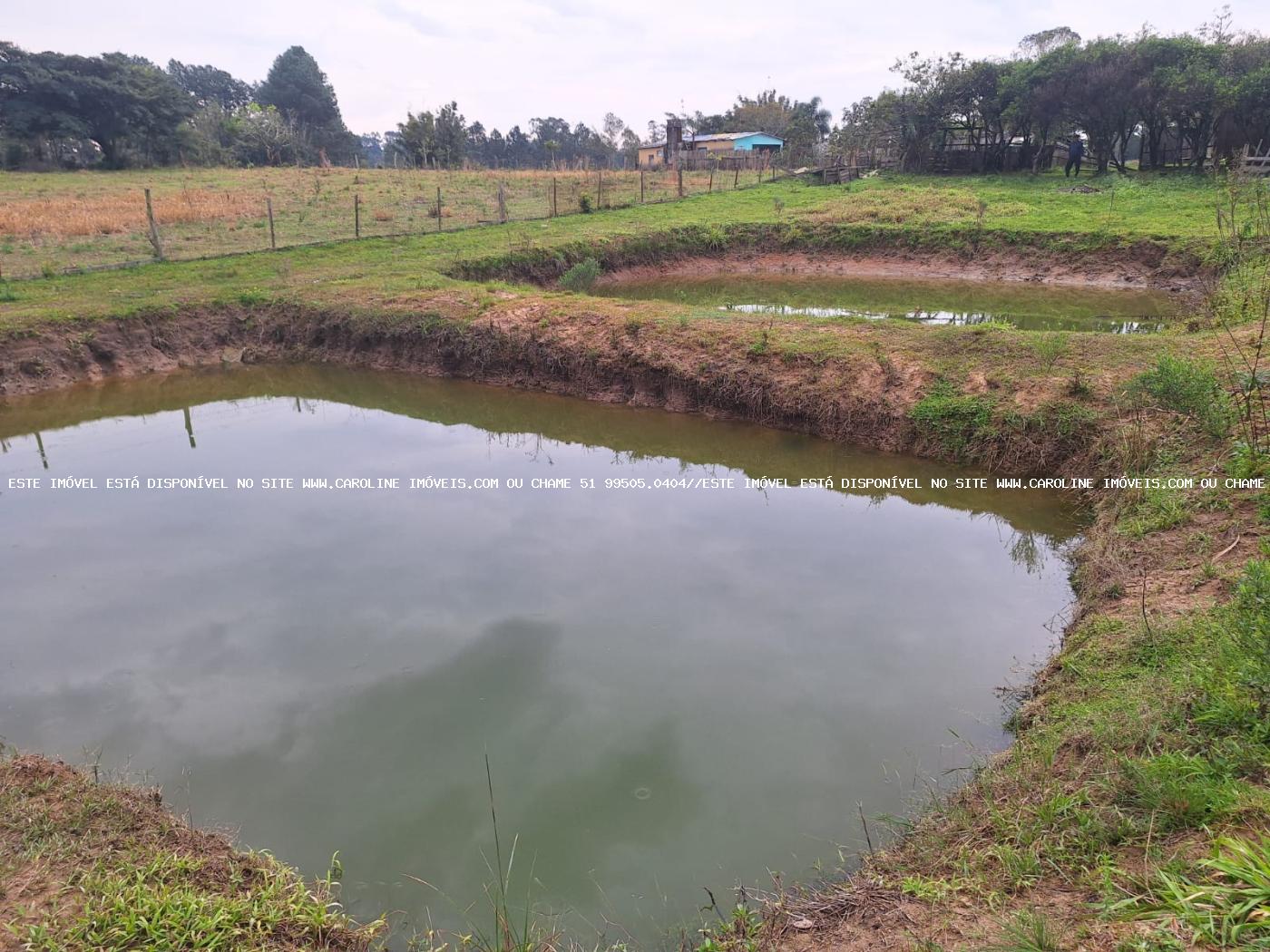 Fazenda à venda com 2 quartos, 6790m² - Foto 14