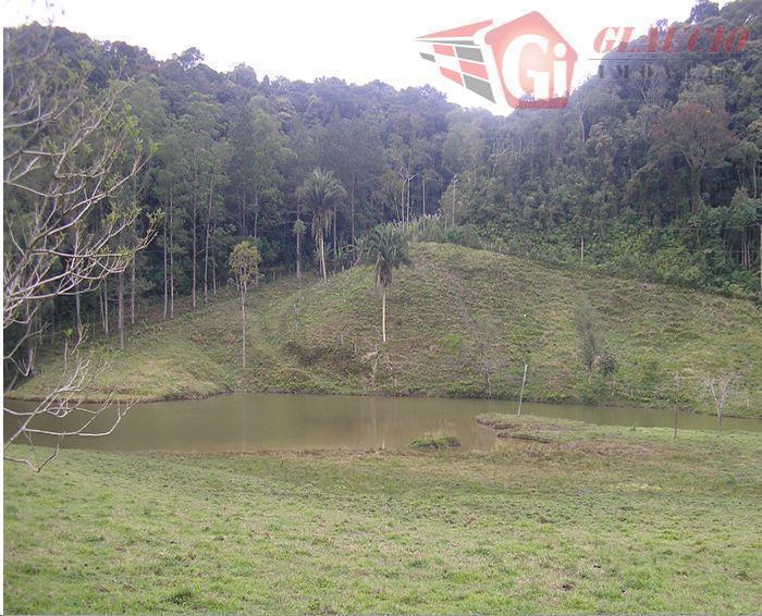 Sítio à venda com 4 quartos, 75661m² - Foto 5