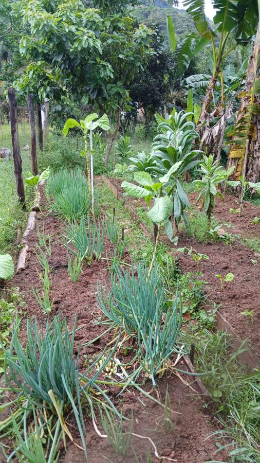 Fazenda à venda com 4 quartos, 2500m² - Foto 11