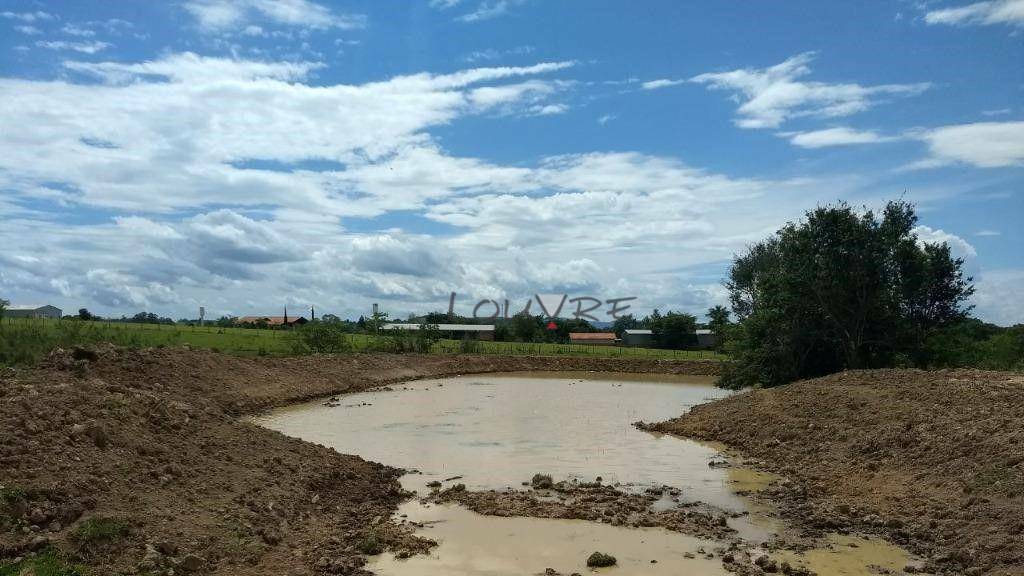 Terreno à venda, 250000M2 - Foto 8