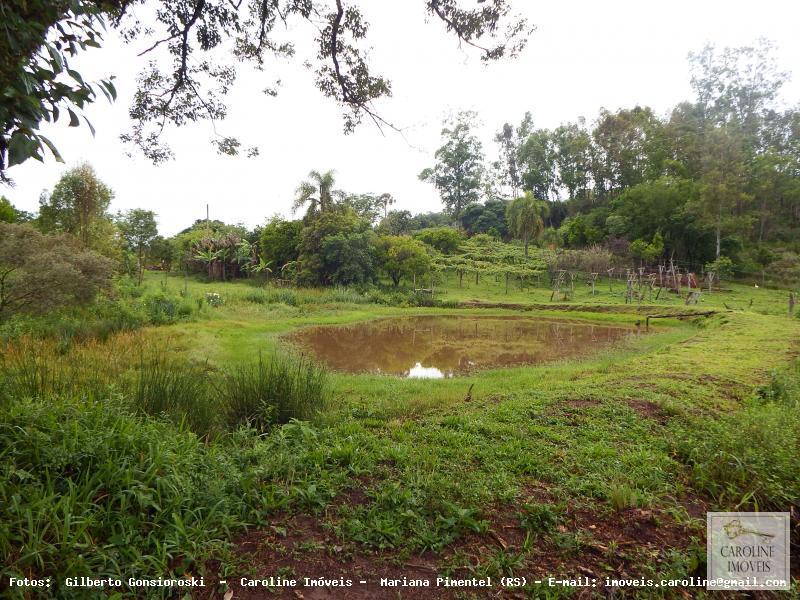 Fazenda à venda com 3 quartos, 60000m² - Foto 16