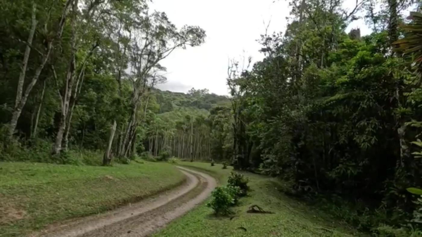 Sítio, 3 quartos, 30 hectares - Foto 44