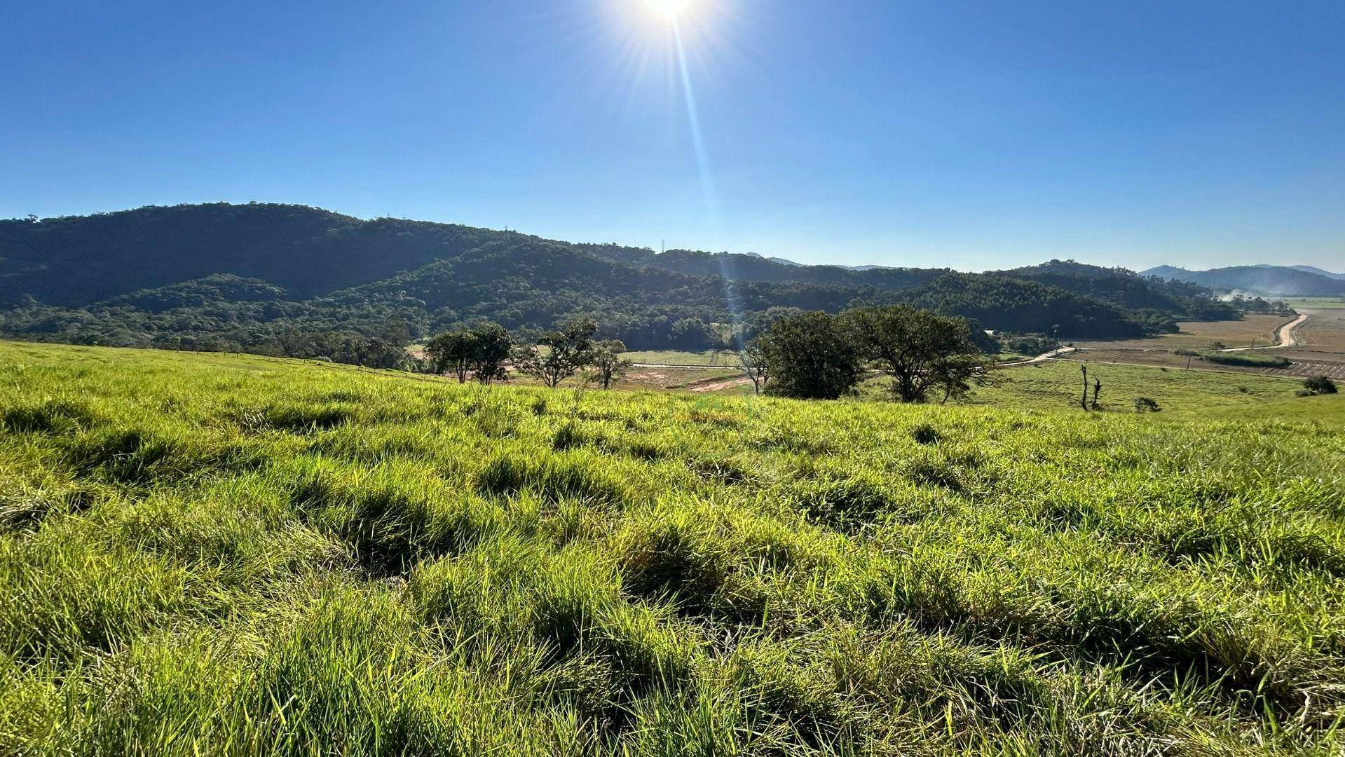 Terreno, 27 hectares - Foto 1