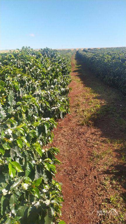 Fazenda à venda, 2420000M2 - Foto 14