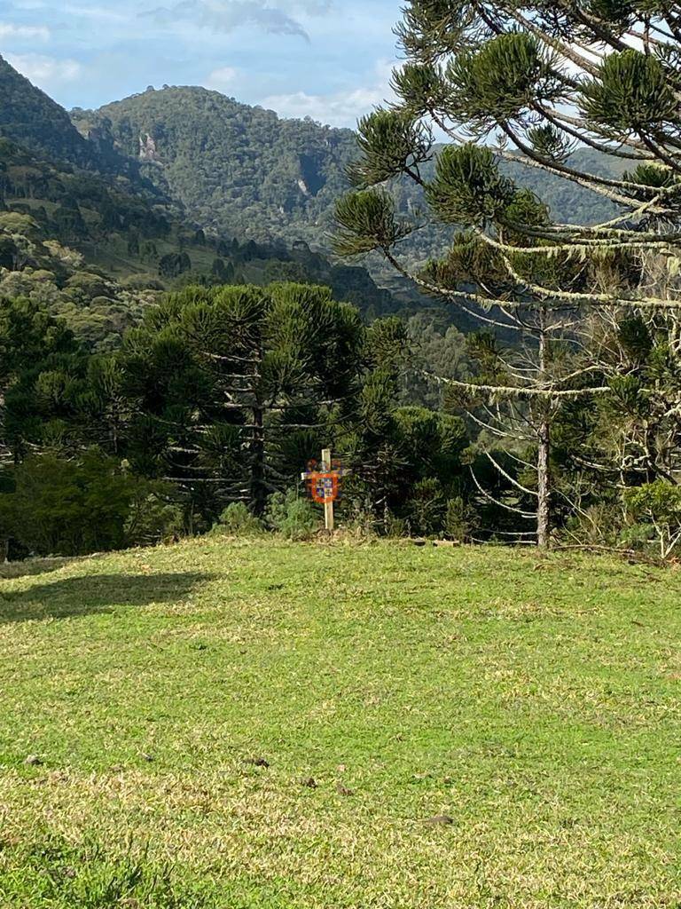 Sítio à venda, 200000M2 - Foto 81