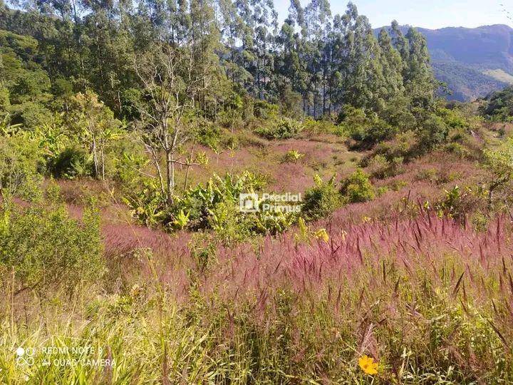 Fazenda-Sítio-Chácara, 5 hectares - Foto 4