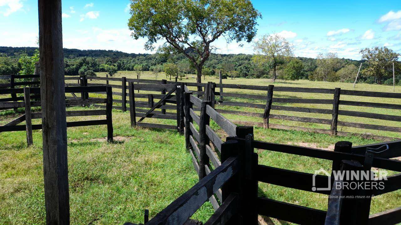 Fazenda à venda com 2 quartos, 4500000M2 - Foto 50