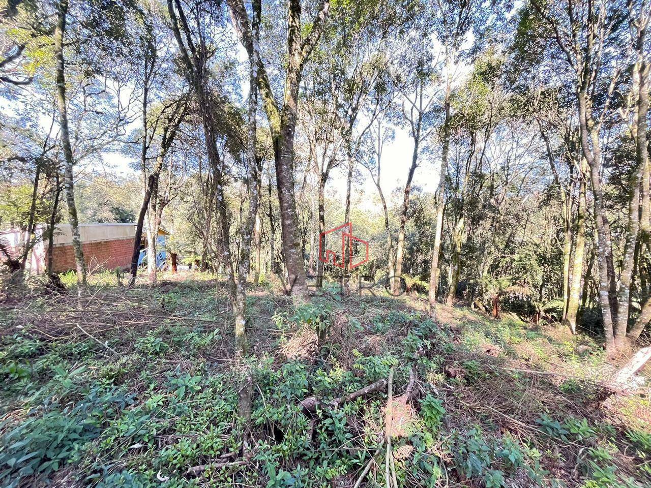 Terreno, 613 m² - Foto 7