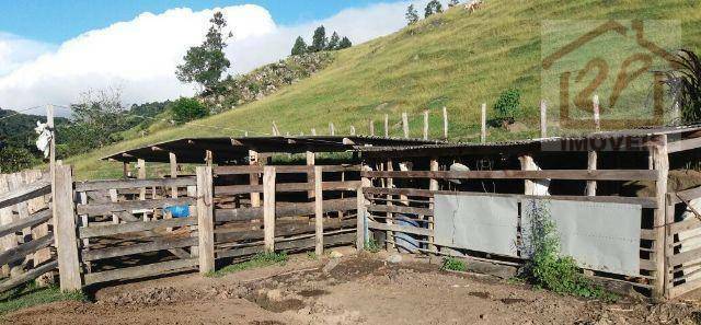 Fazenda à venda, 479160M2 - Foto 4