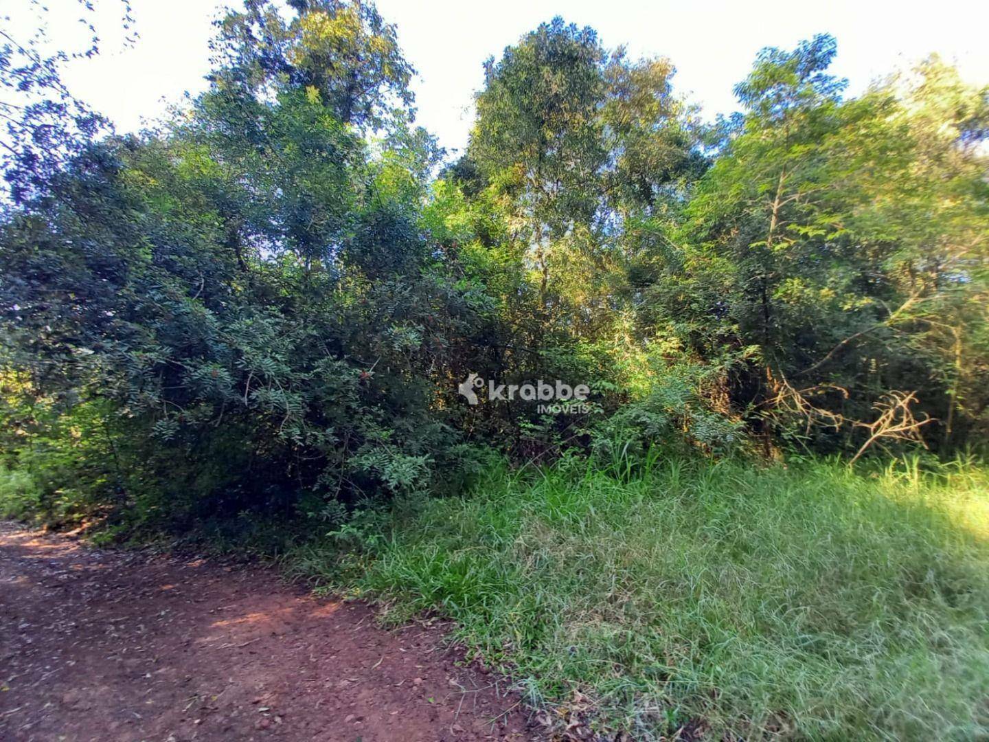 Chácara à venda com 1 quarto, 1m² - Foto 8
