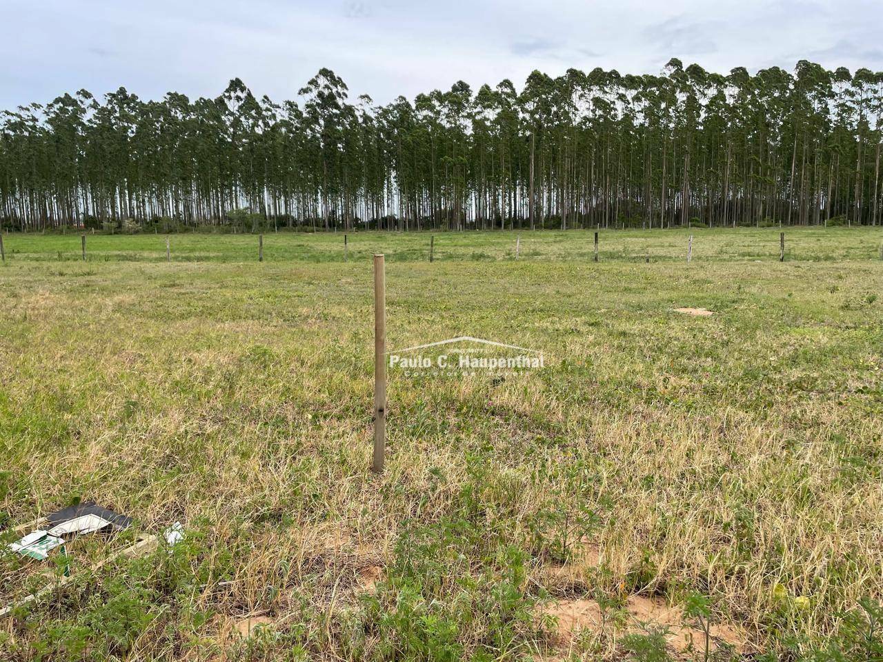 Terreno à venda, 340M2 - Foto 3