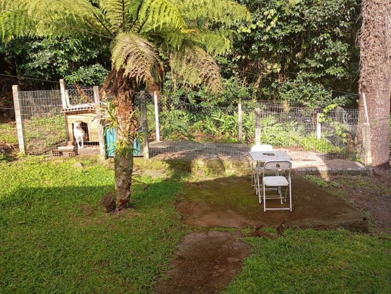Casa à venda com 2 quartos, 56m² - Foto 6