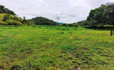 Sítio à venda com 3 quartos, 17000m² - Foto 21
