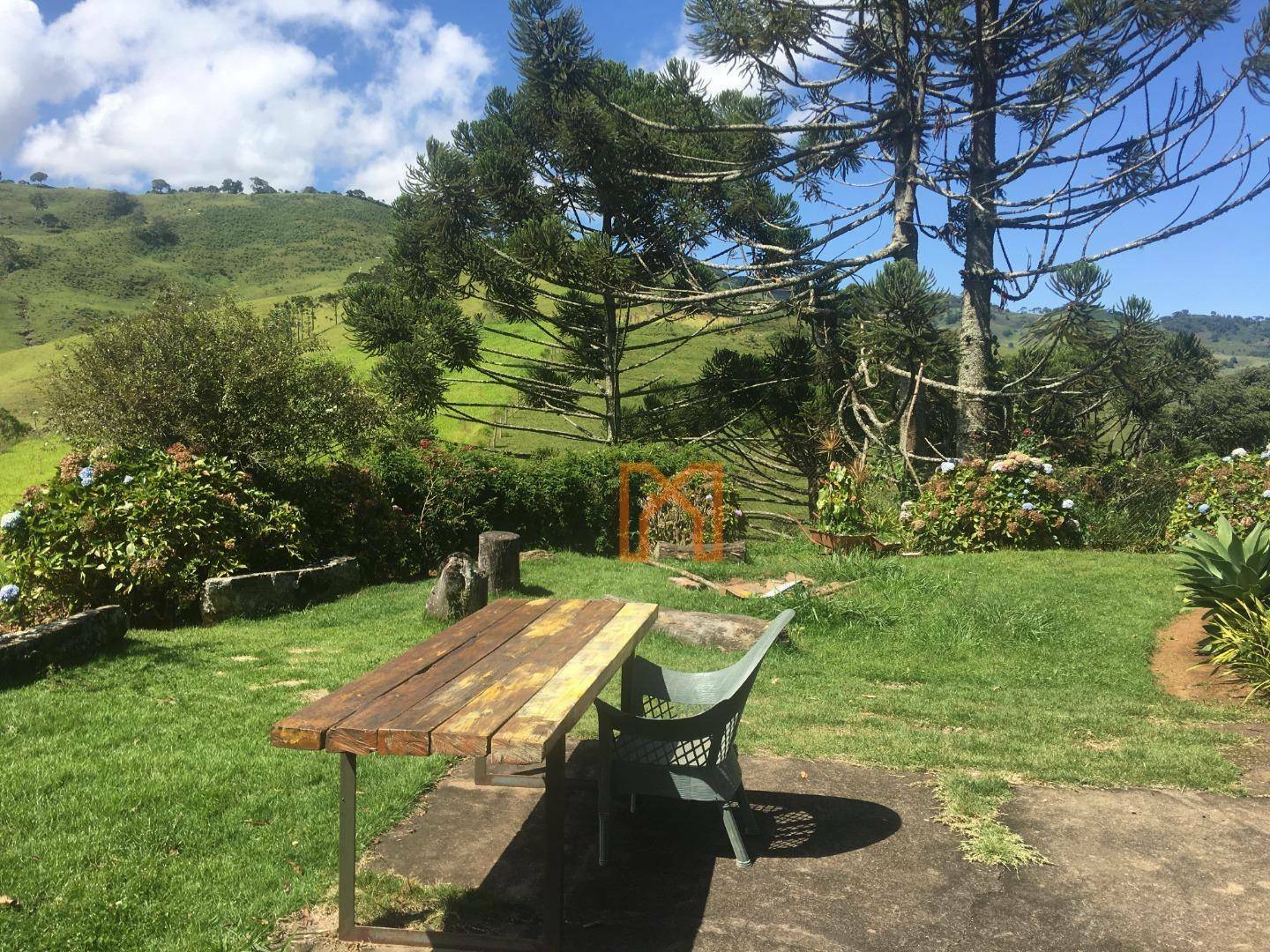 Fazenda à venda com 4 quartos, 3030000M2 - Foto 6