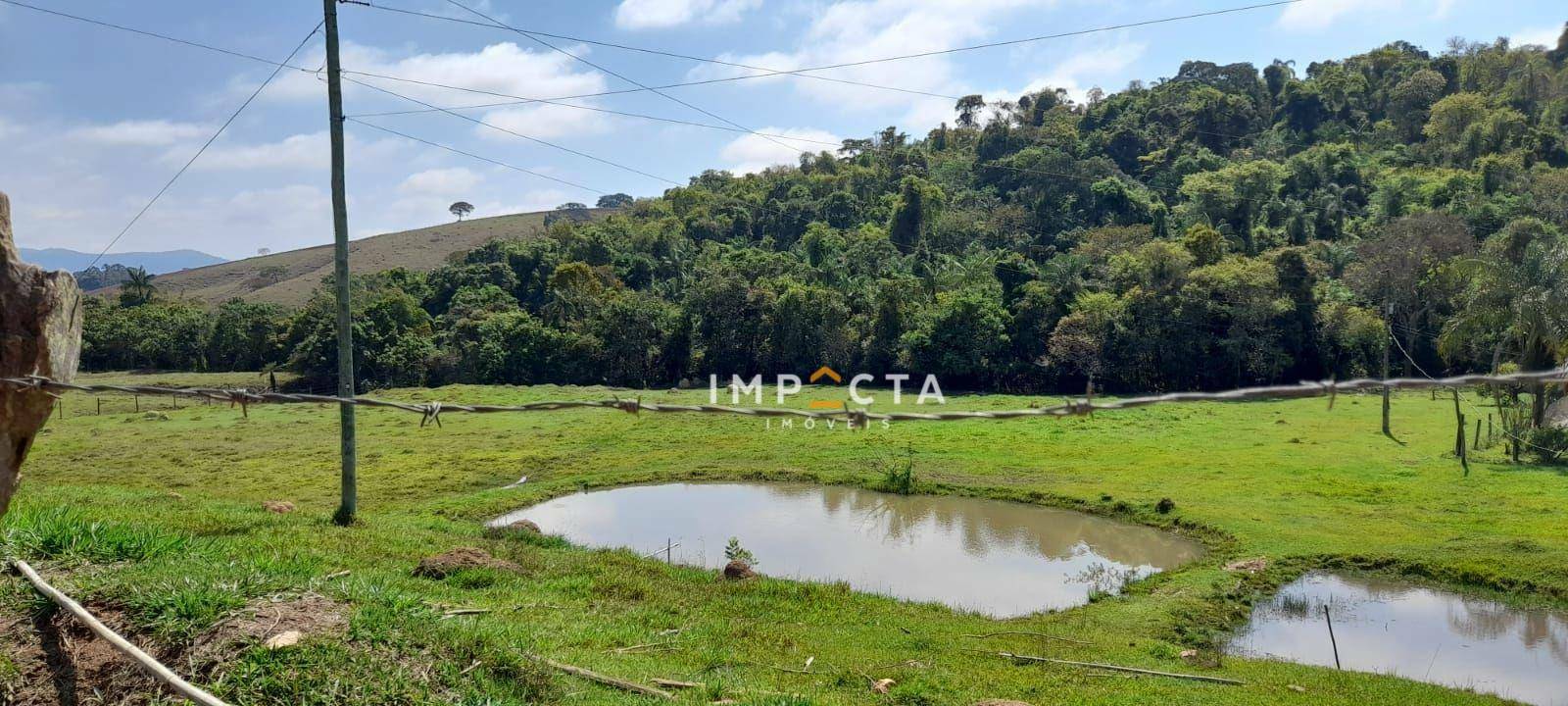 Chácara à venda com 3 quartos, 12000M2 - Foto 12