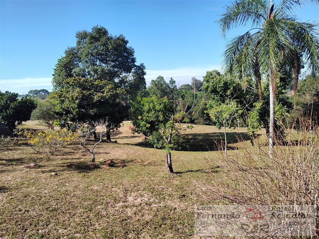 Fazenda à venda com 2 quartos, 16000m² - Foto 32