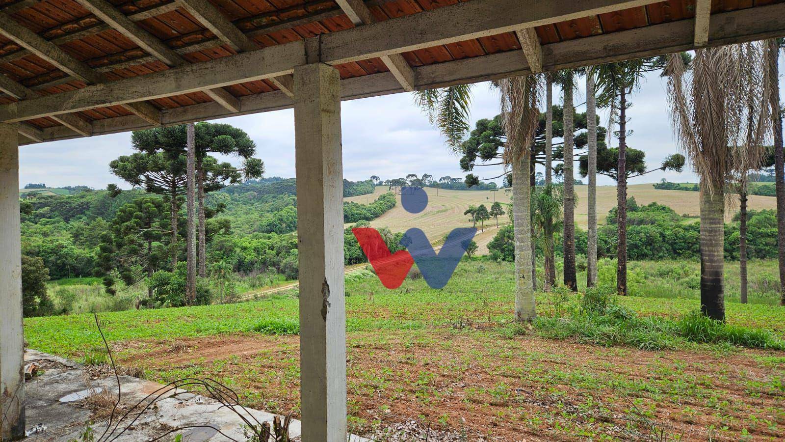 Fazenda à venda com 3 quartos, 1694000M2 - Foto 11