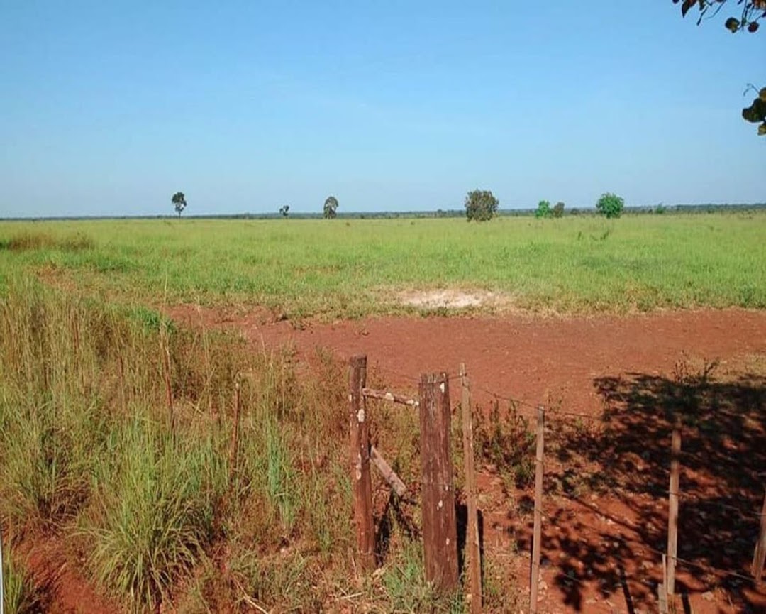 Fazenda-Sítio-Chácara - Foto 4