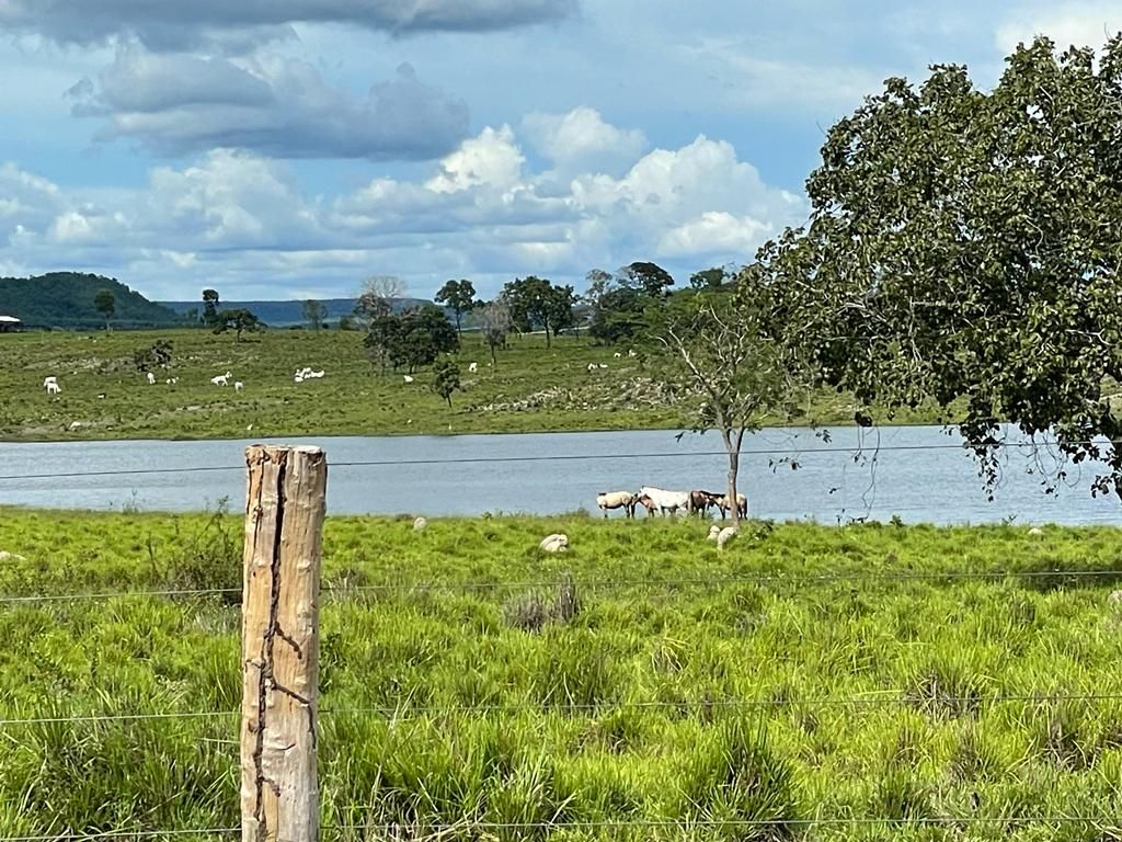 Fazenda à venda, 14620000M2 - Foto 7