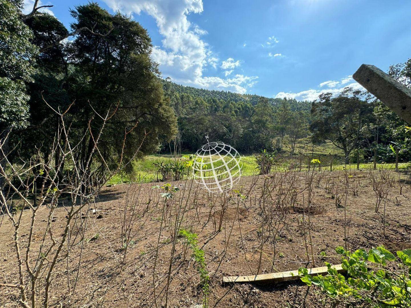 Chácara à venda e aluguel com 4 quartos, 700m² - Foto 10