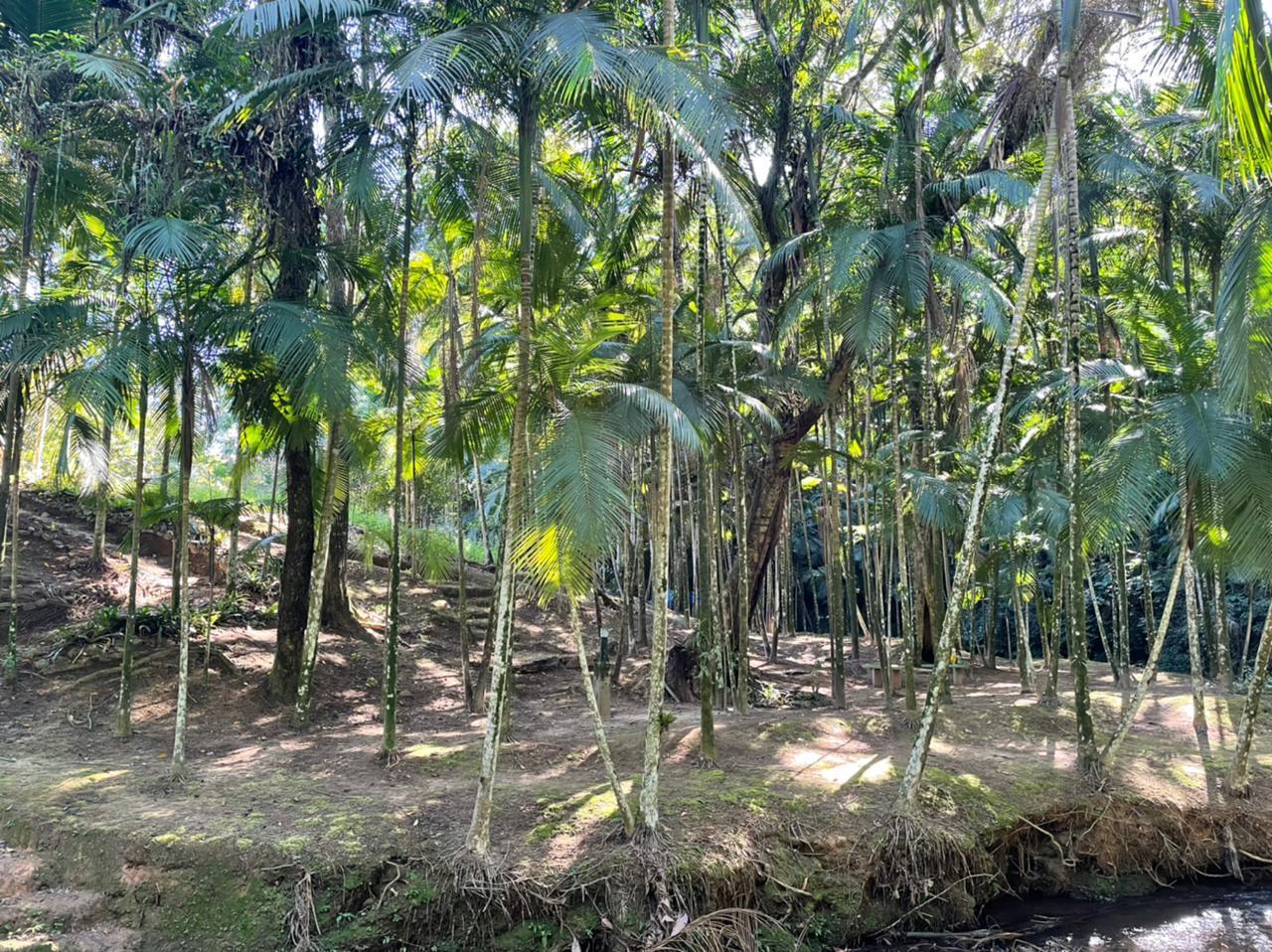 Chácara à venda com 3 quartos, 24004m² - Foto 5