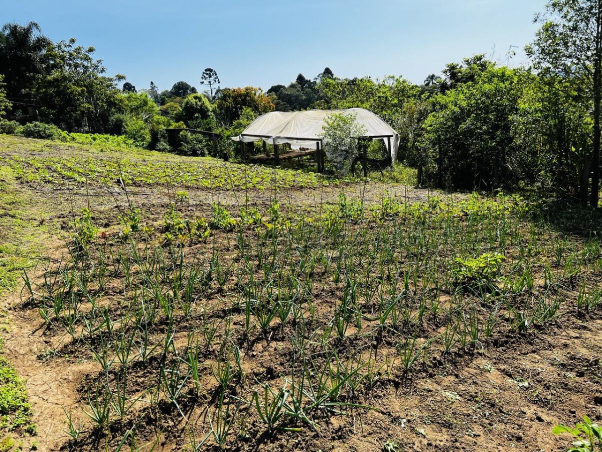 Fazenda à venda, 6300m² - Foto 45