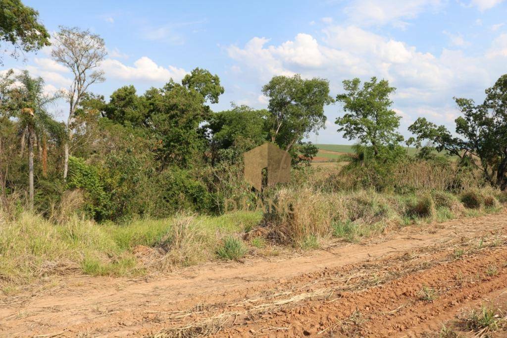 Terreno à venda, 124520M2 - Foto 16