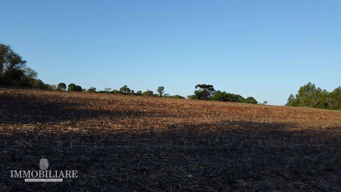 Terreno à venda, 2000000M2 - Foto 4