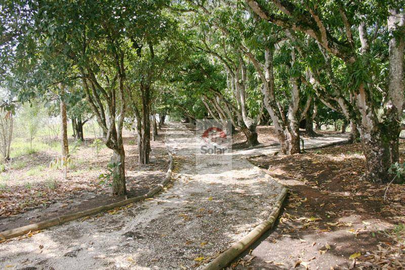 Loteamento e Condomínio à venda, 1114M2 - Foto 8