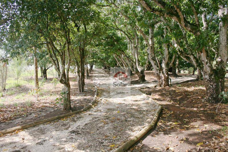 Loteamento e Condomínio à venda, 1196M2 - Foto 6