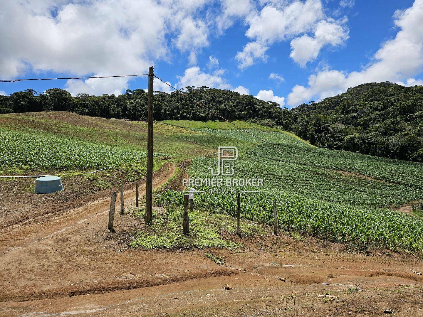 Sítio à venda com 3 quartos, 500m² - Foto 20