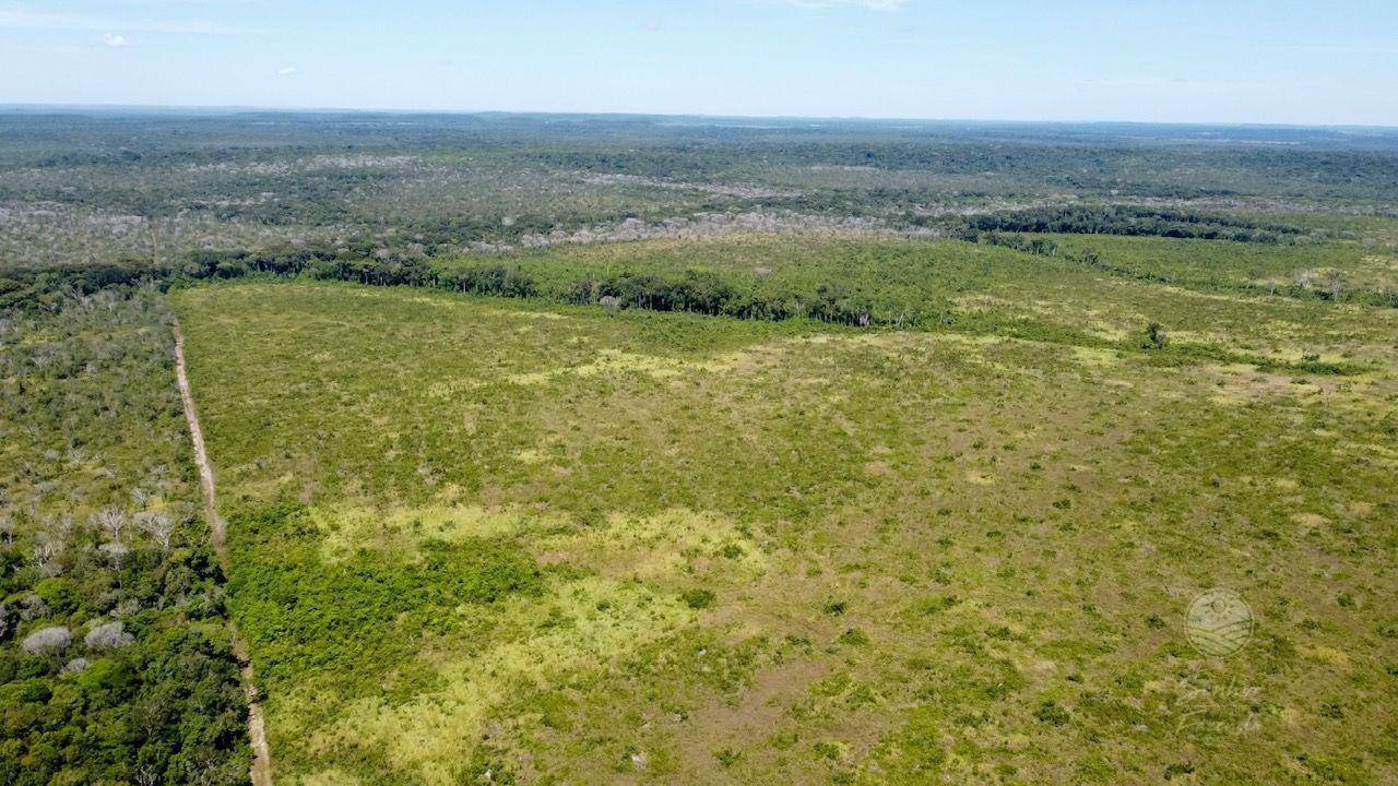 Fazenda à venda, 53620000M2 - Foto 6