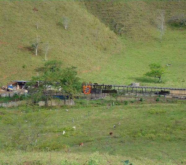 Fazenda à venda com 5 quartos, 1331000M2 - Foto 99