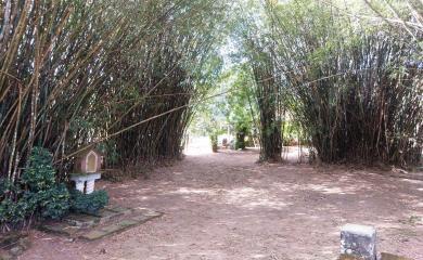 Fazenda à venda com 3 quartos, 200000m² - Foto 9