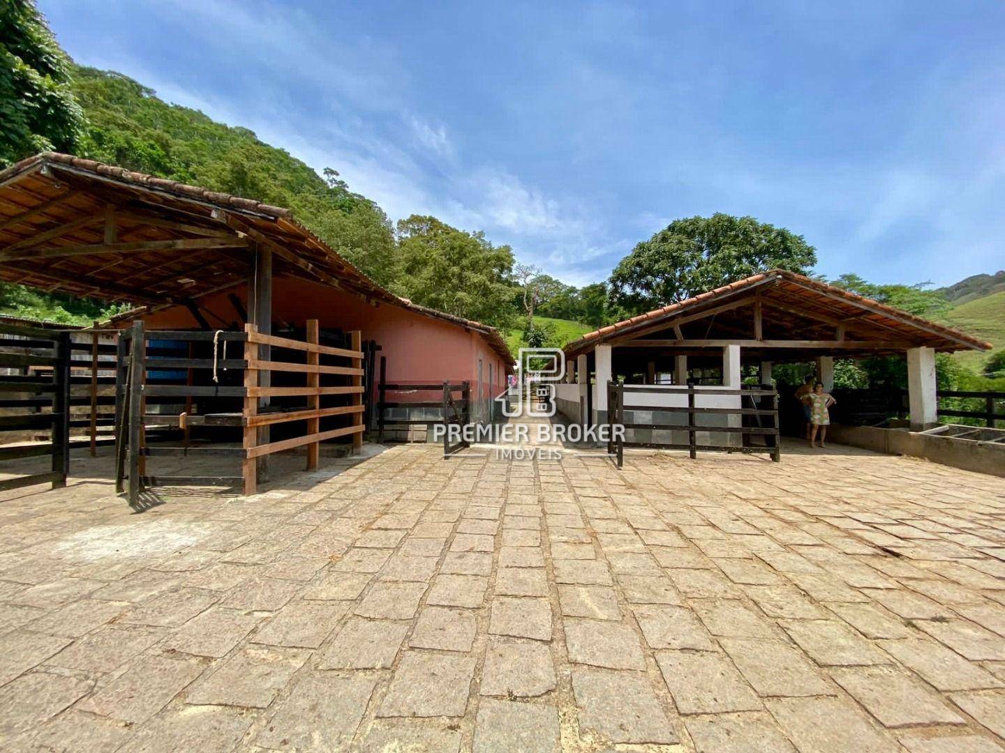 Fazenda à venda com 5 quartos, 300m² - Foto 52