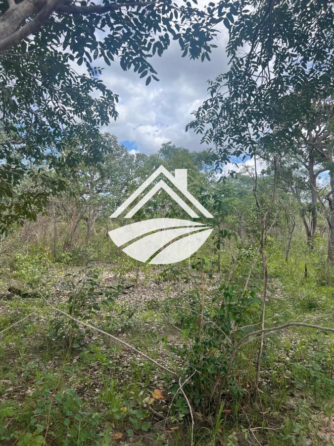 Fazenda à venda, 1m² - Foto 12