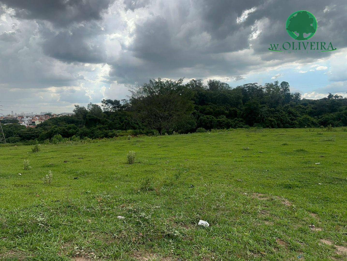 Loteamento e Condomínio à venda, 20000M2 - Foto 2