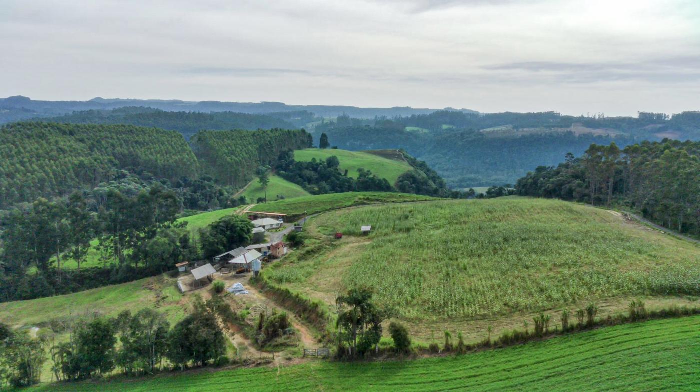 Fazenda à venda com 3 quartos, 205000m² - Foto 36