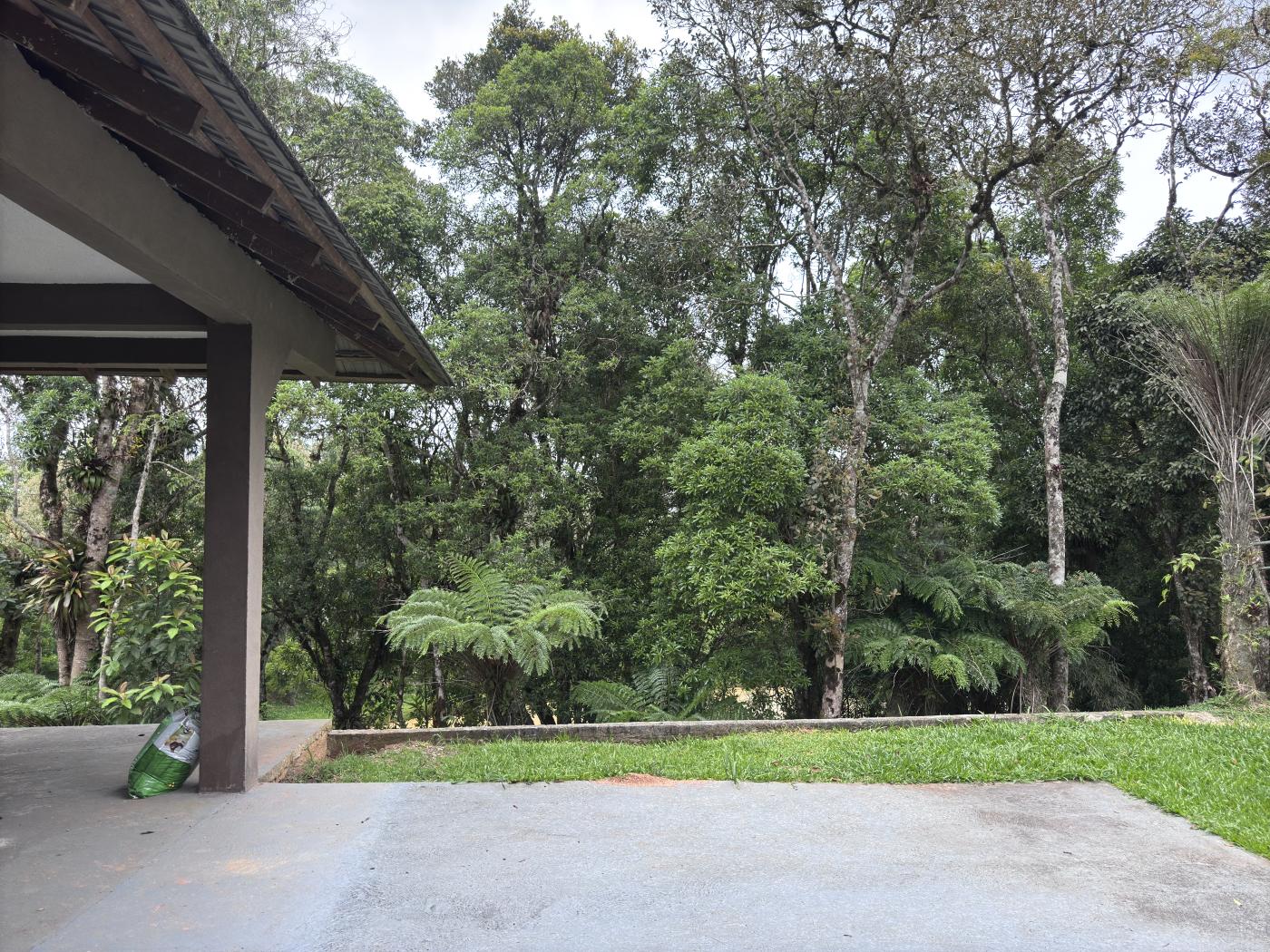 Chácara à venda com 4 quartos, 15000m² - Foto 24