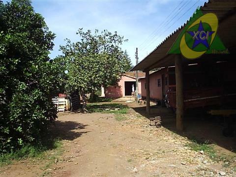 Sítio, 3 quartos, 13 hectares - Foto 5