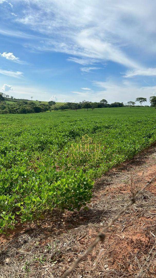 Fazenda à venda, 363000M2 - Foto 2