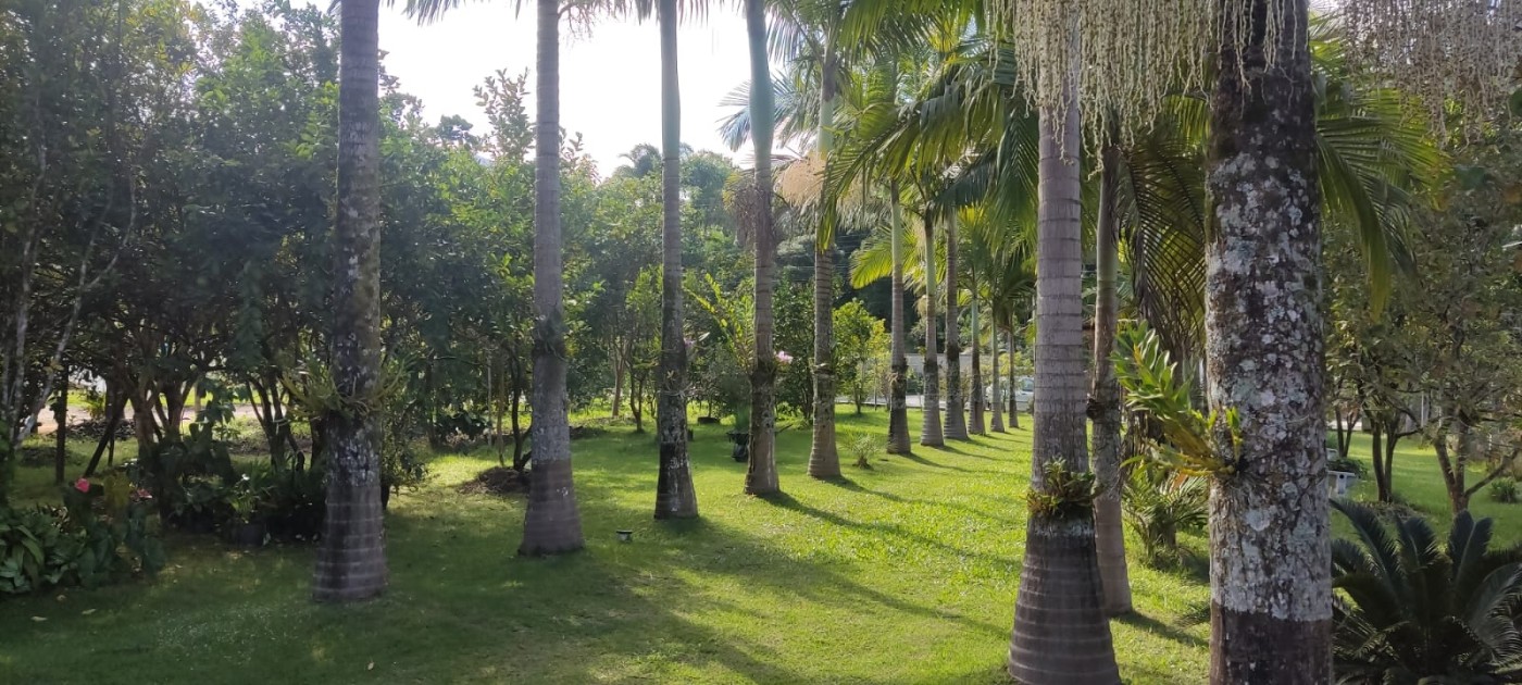 Chácara à venda com 2 quartos, 5000m² - Foto 2