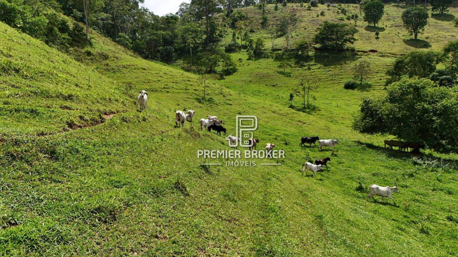 Fazenda à venda com 3 quartos, 250m² - Foto 33