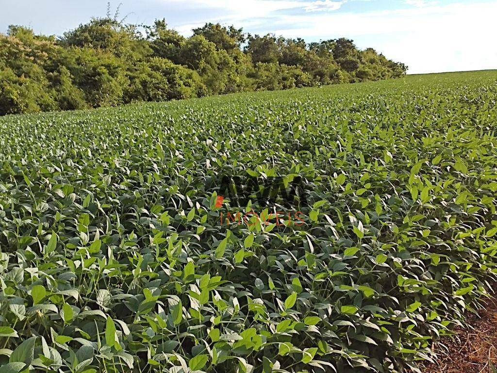 Fazenda à venda, 24829200M2 - Foto 8