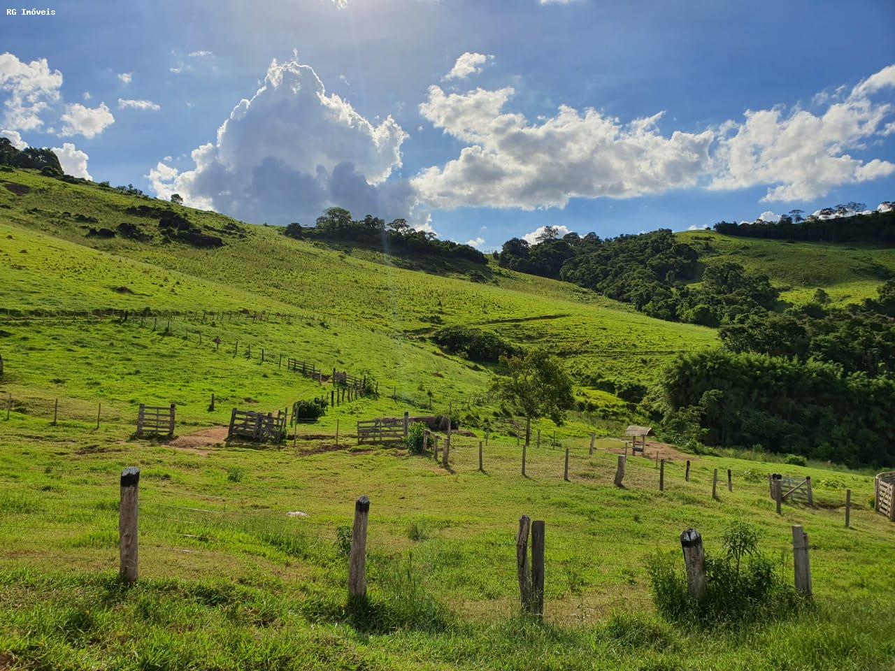 Fazenda à venda com 2 quartos, 220m² - Foto 6
