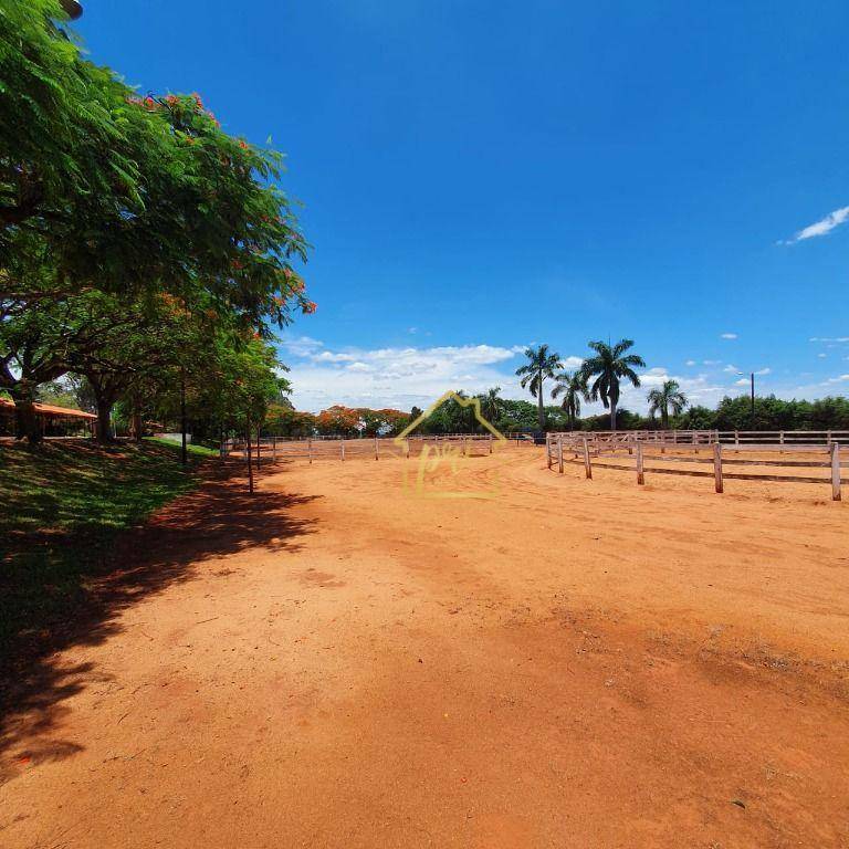 Haras e Área Rural Padrão à venda com 4 quartos, 1000m² - Foto 6