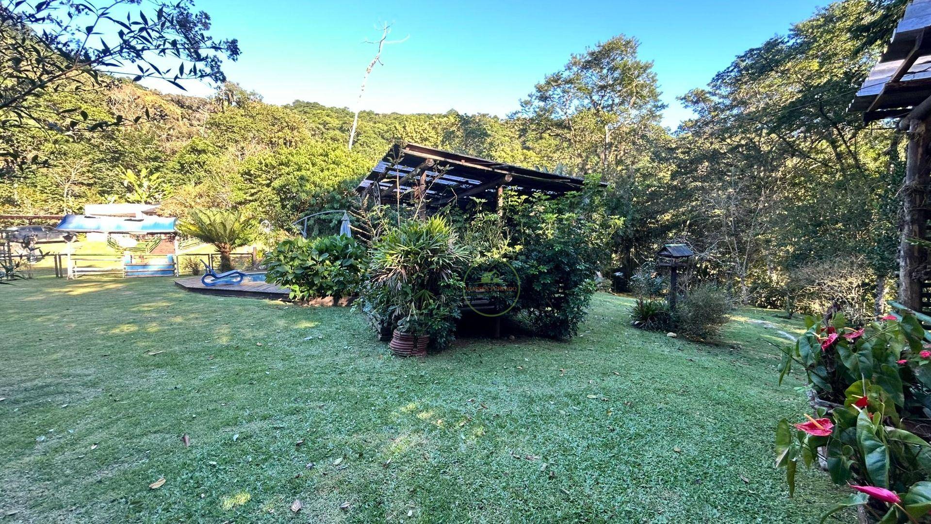 Sítio, 14 hectares - Foto 93